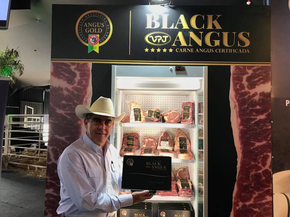 angus selo gold 2