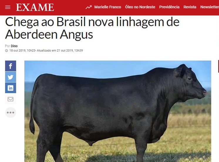 pecuaria