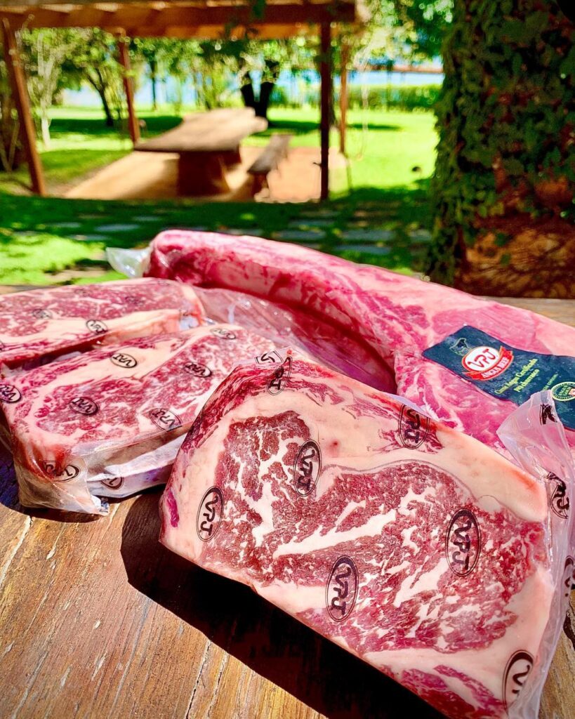 carne VPJ
